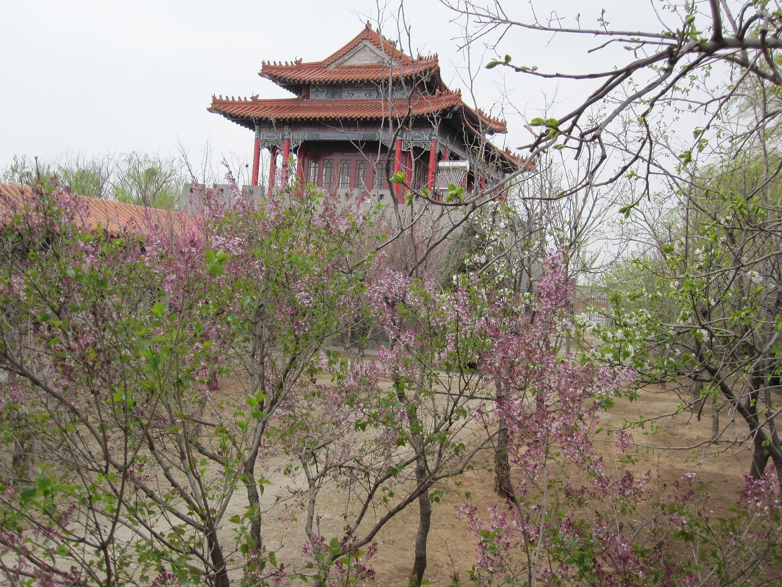 厂区环境